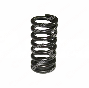 Пружина клапана Д50.09.004