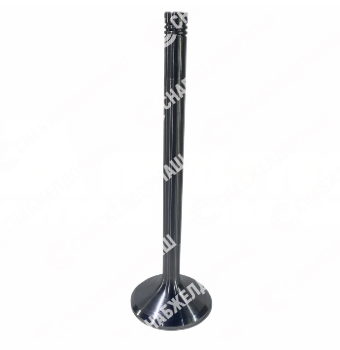 Клапан Д50.09.009 впускной