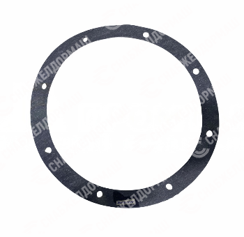 Прокладка 34.01.00.05.001