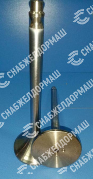 Клапан впускной Д49.78.05