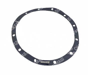 Прокладка 3207.00.004